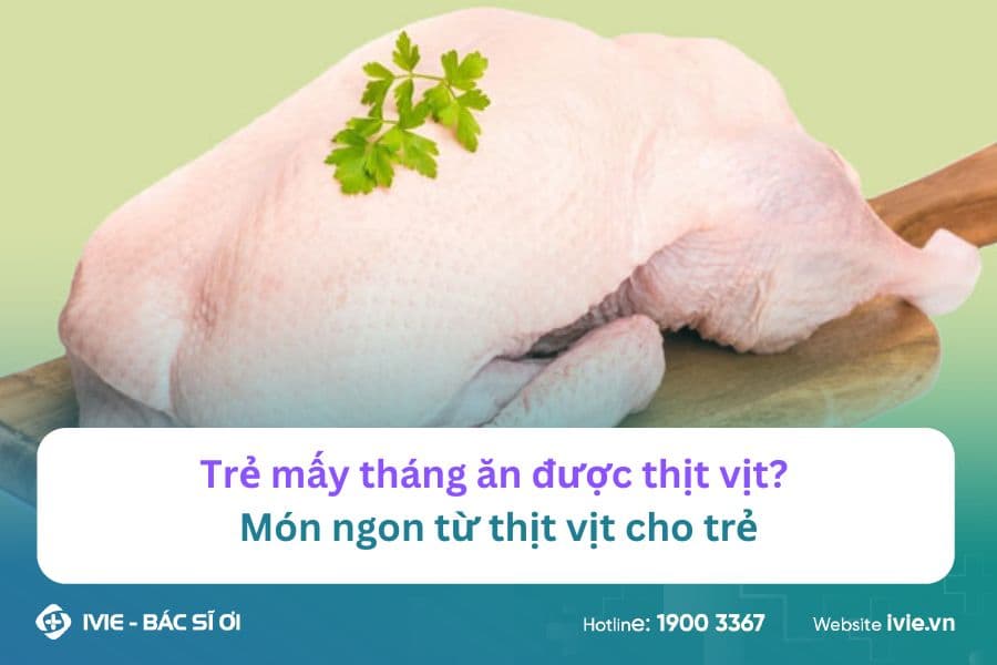 Trẻ mấy tháng ăn được thịt vịt? Món ngon từ thịt vịt cho trẻ