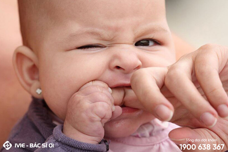 Trẻ đưa các vật cầm nắm được vào miệng vì khó chịu ở vùng răng mọc