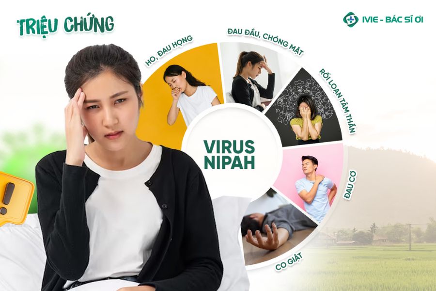 Triệu chứng của Virus Nipah