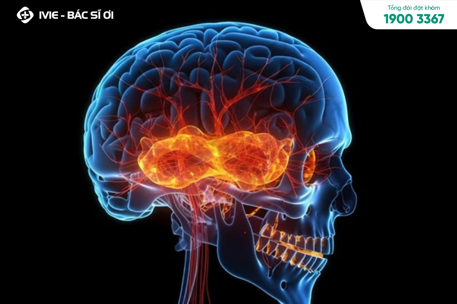 Chụp X quang não có nguy hiểm không?