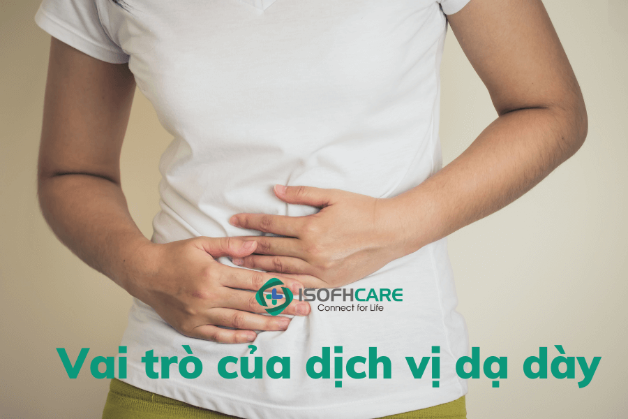 Hiểu biết vai trò của dịch vị dạ dày trong bệnh đau dạ dày?