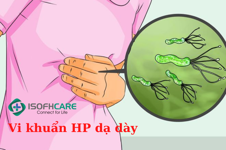 Vi khuẩn HP gây hiện tượng viêm loét dạ dày.