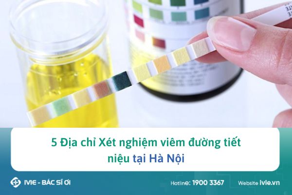 5 Địa chỉ Xét nghiệm viêm đường tiết niệu tại Hà Nội