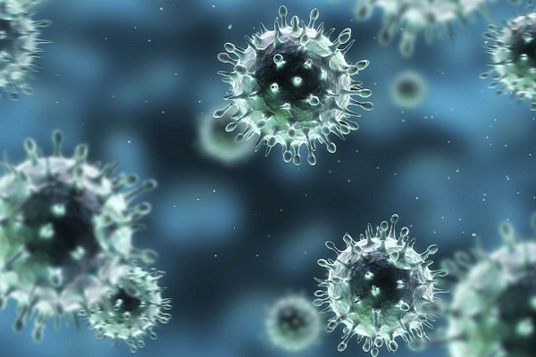 Virus cúm chính là tác nhân gây ra bệnh cảm cúm (ảnh tham khảo)