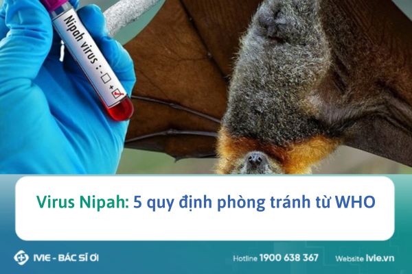 Virus Nipah: 5 quy định phòng tránh từ WHO