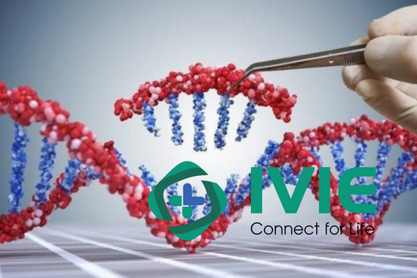 Tổng hợp các dịch vụ Xét nghiệm ADN tại Genlab