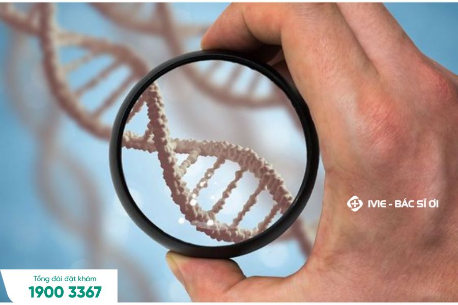 Xét nghiệm di truyền học nhằm phân tích DNA hoặc RNA 