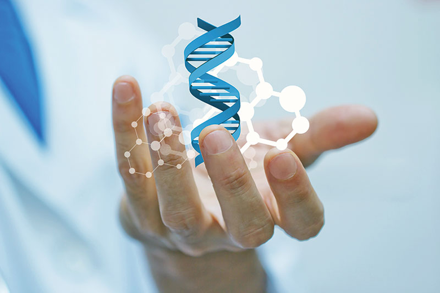 Xét nghiệm DNA quan hệ cha con là gì?