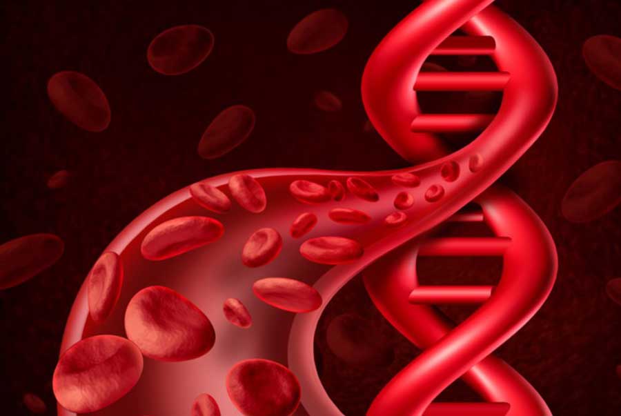 Xét nghiệm gen là xét nghiệm chính xác nhất để chẩn đoán và phân loại thalassemia.