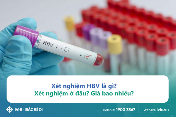 Xét nghiệm HBV là gì? Xét nghiệm ở đâu? Giá bao nhiêu?