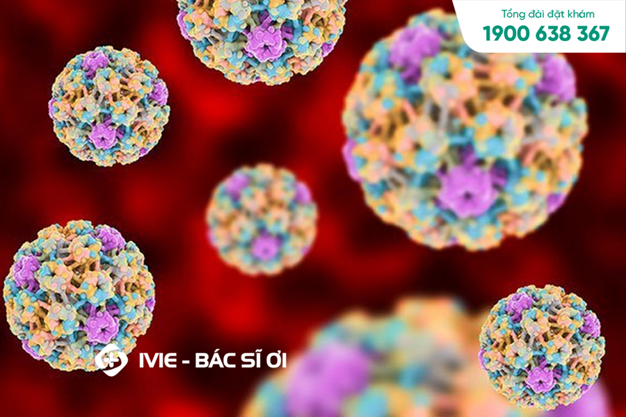 Xét nghiệm HPV genotype là gì?