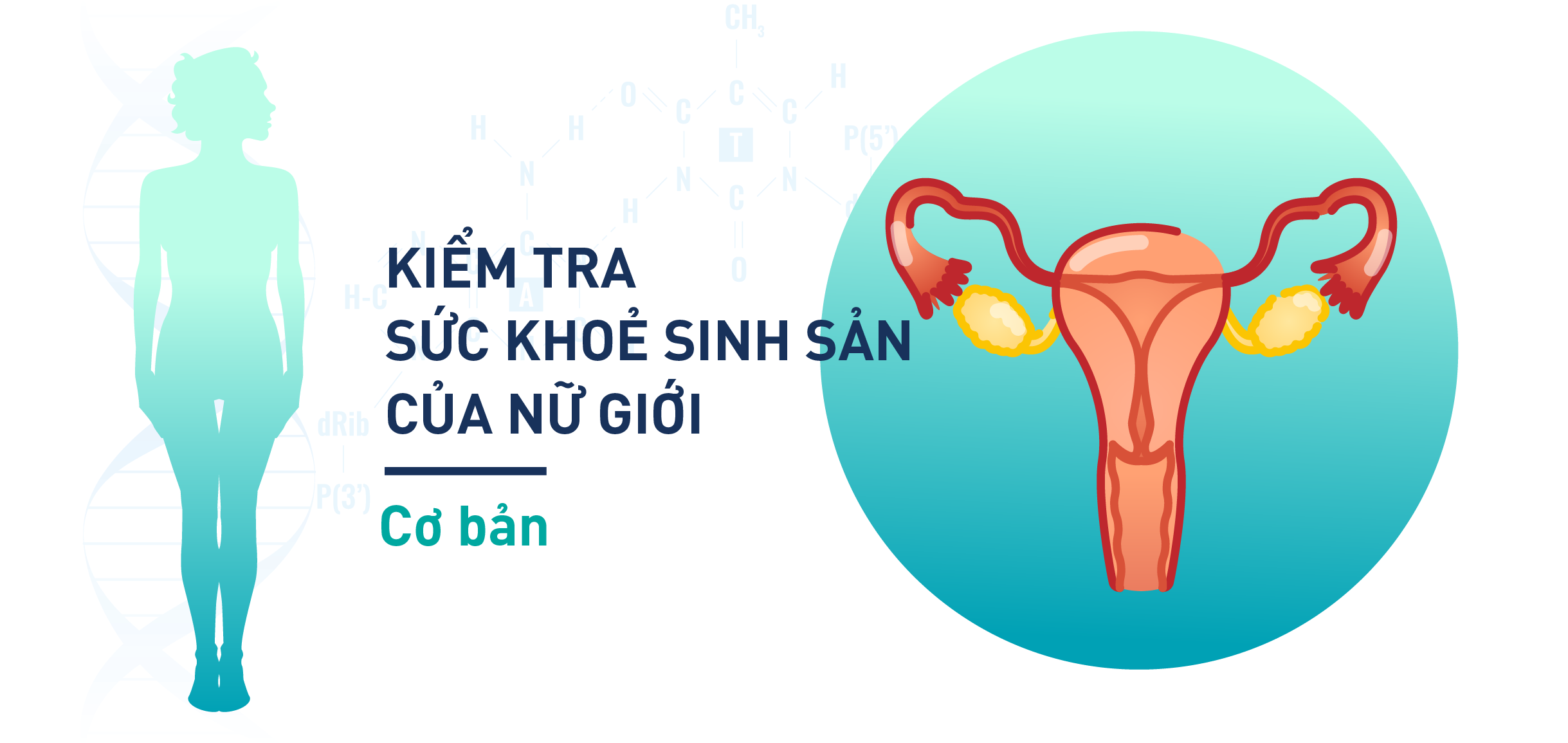 Gói Xét nghiệm kiểm tra sức khoẻ sinh sản của nữ giới cơ bản - TTXN LABHOUSE