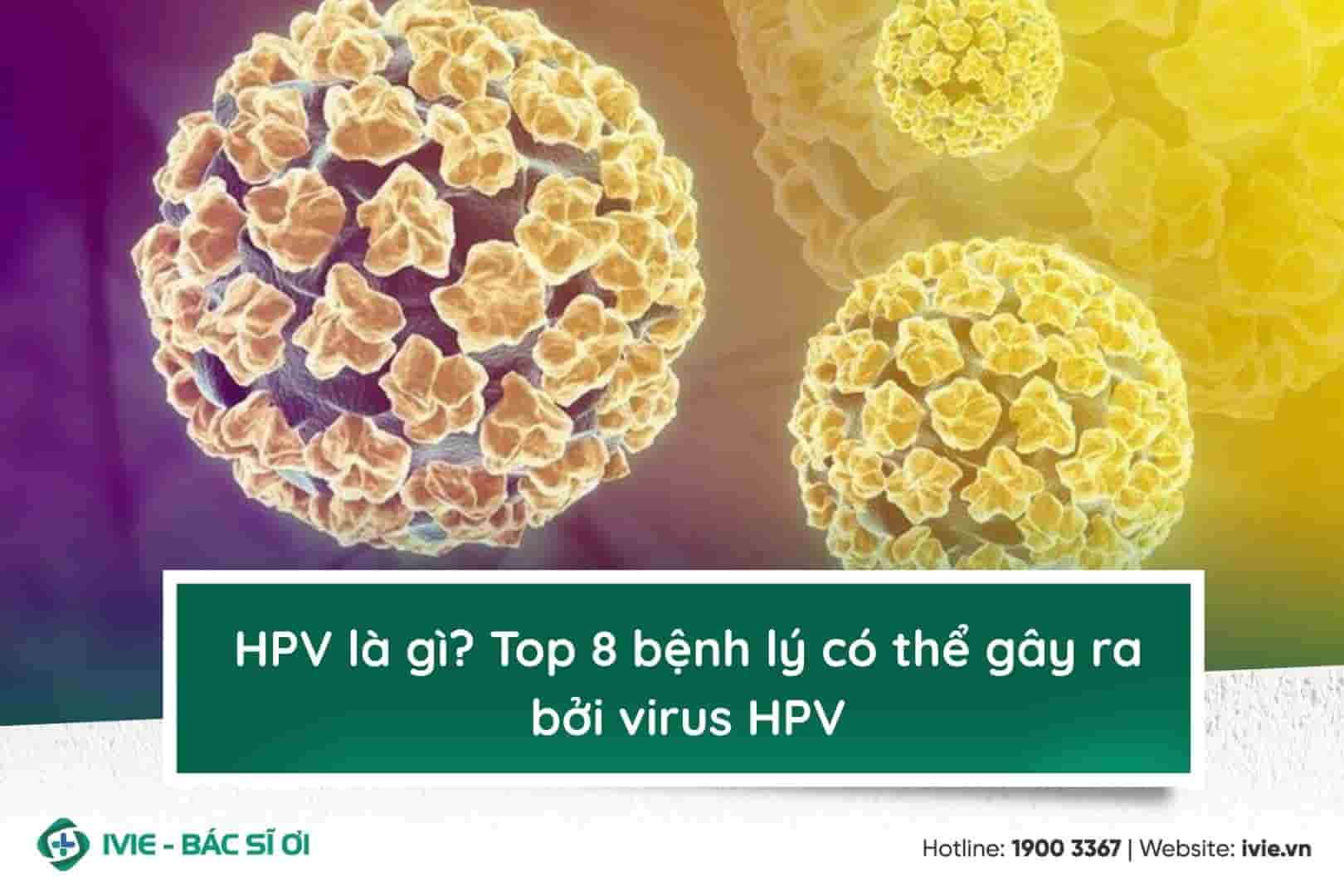 HPV là gì? Top 8 bệnh lý có thể gây ra bởi virus HPV