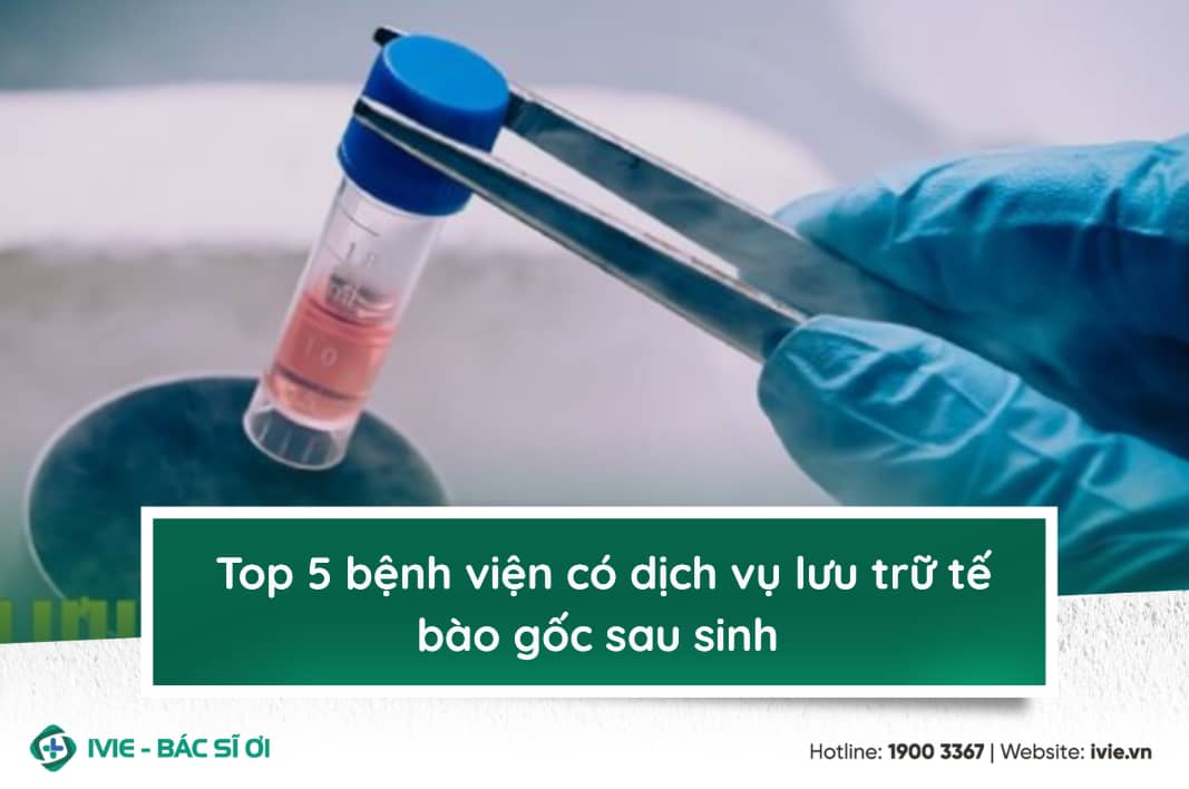 Top 5 bệnh viện có dịch vụ lưu trữ tế bào gốc sau sinh 