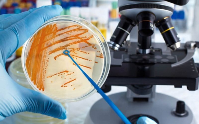 Phòng khám Green Lab phát triển các dịch vụ xét nghiệm từ cơ bản đến chuyên sâu,