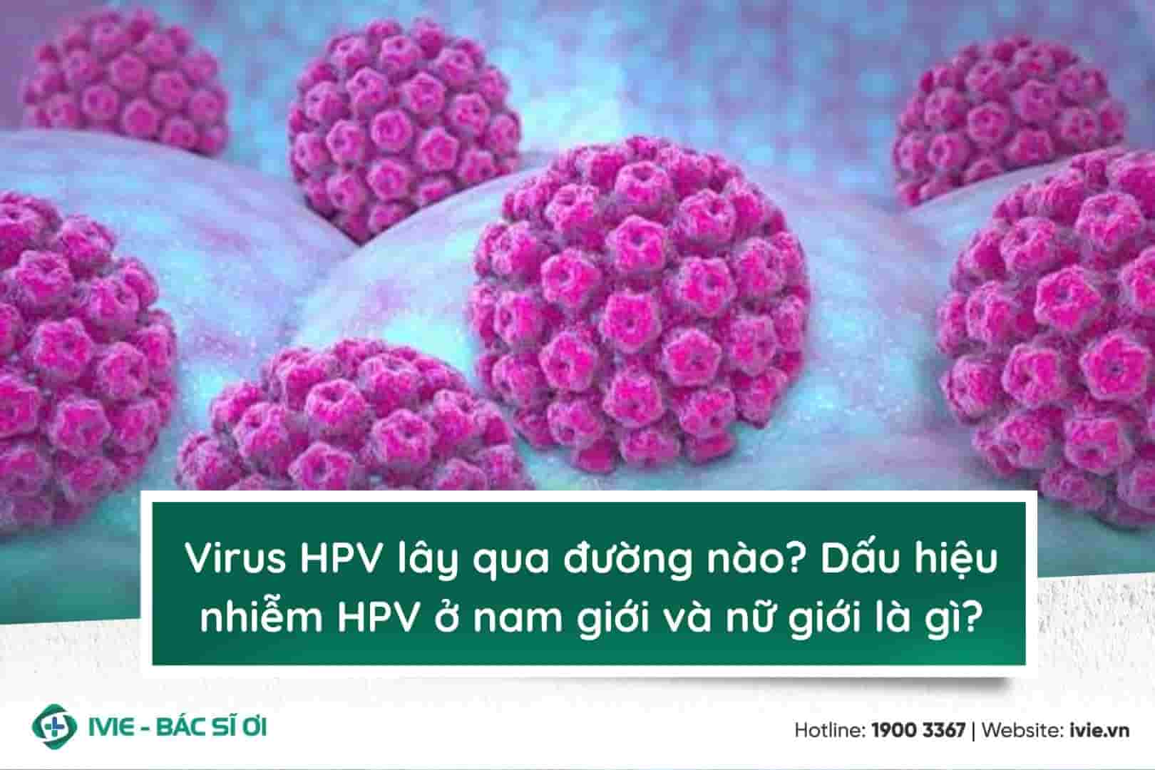 Virus HPV lây qua đường nào? Dấu hiệu nhiễm HPV ở nam giới...