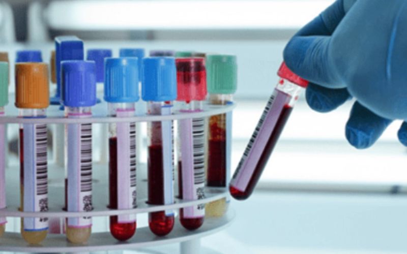 Phòng khám Green Lab chưa ký hợp đồng khám chữa bệnh BHYT với cơ quan Bảo hiểm xã hội