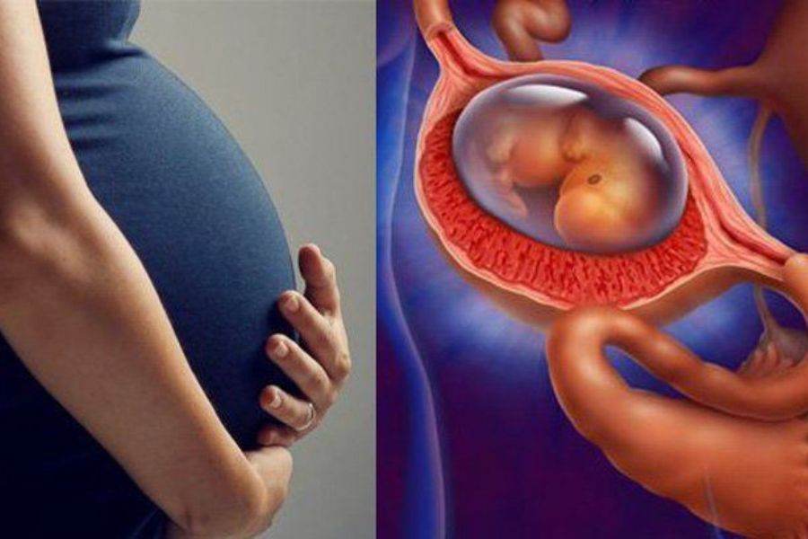 Trường hợp cấp cứu do thai ngoài tử cung vẫn được hưởng quyền lợi BHYT theo quy định, kể cả khi đến cơ sở y tế khác nơi đăng ký ban