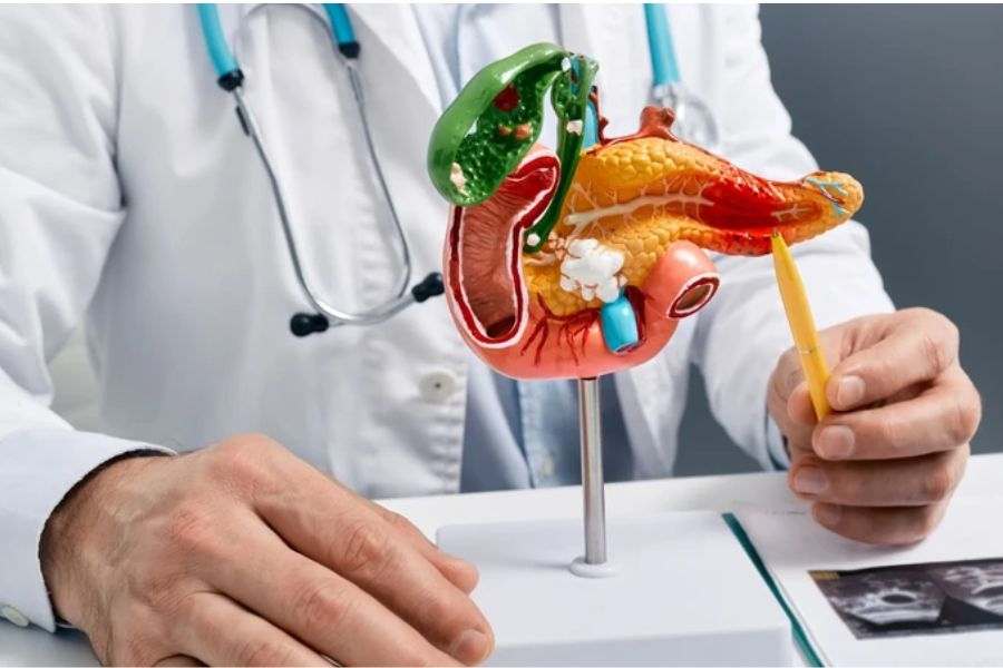 Mức hưởng BHYT phổ biến là 80%, 95% hoặc 100% tùy từng nhóm đối tượng tham gia