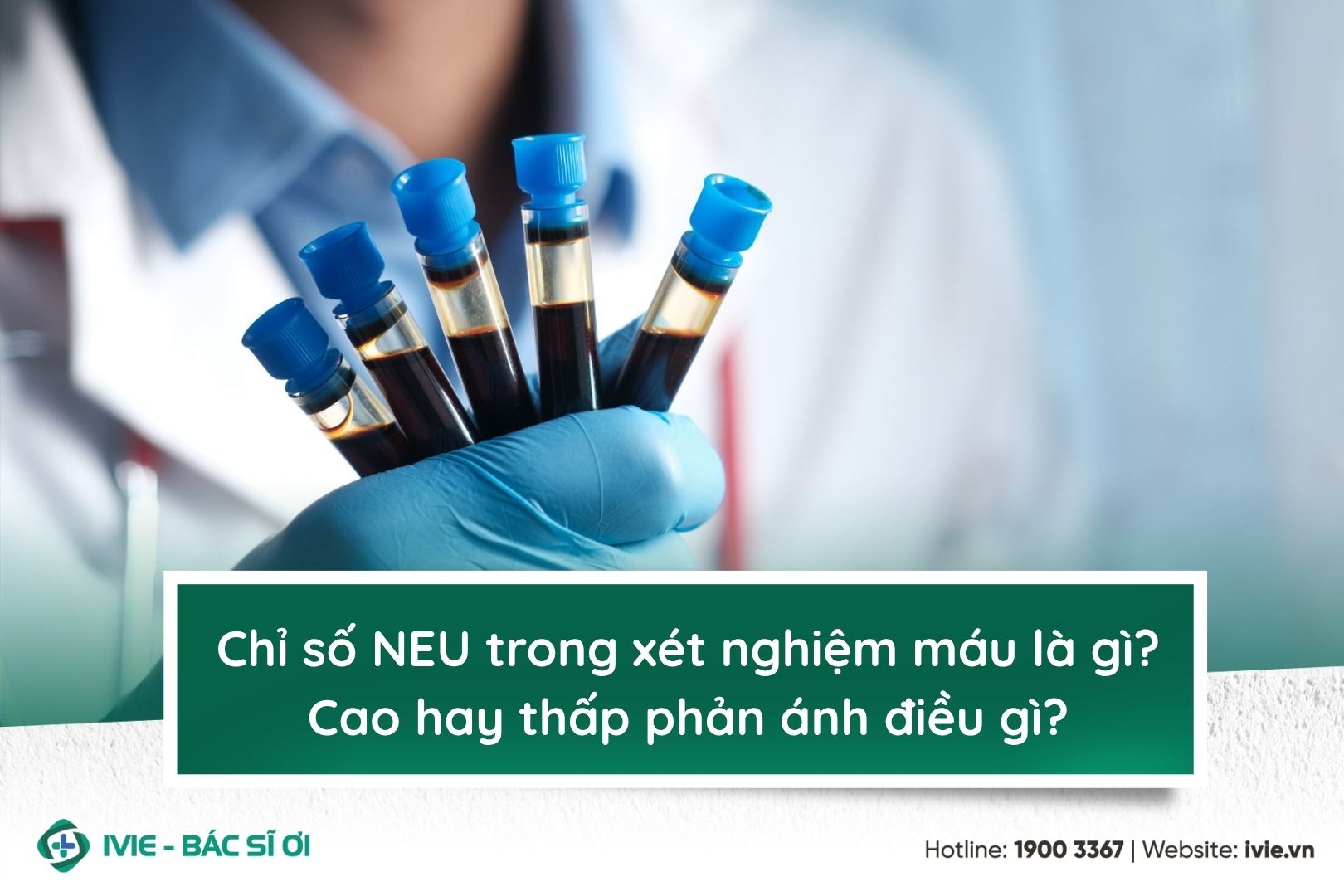 Chỉ số NEU trong xét nghiệm máu là gì? Cao hay thấp phản...