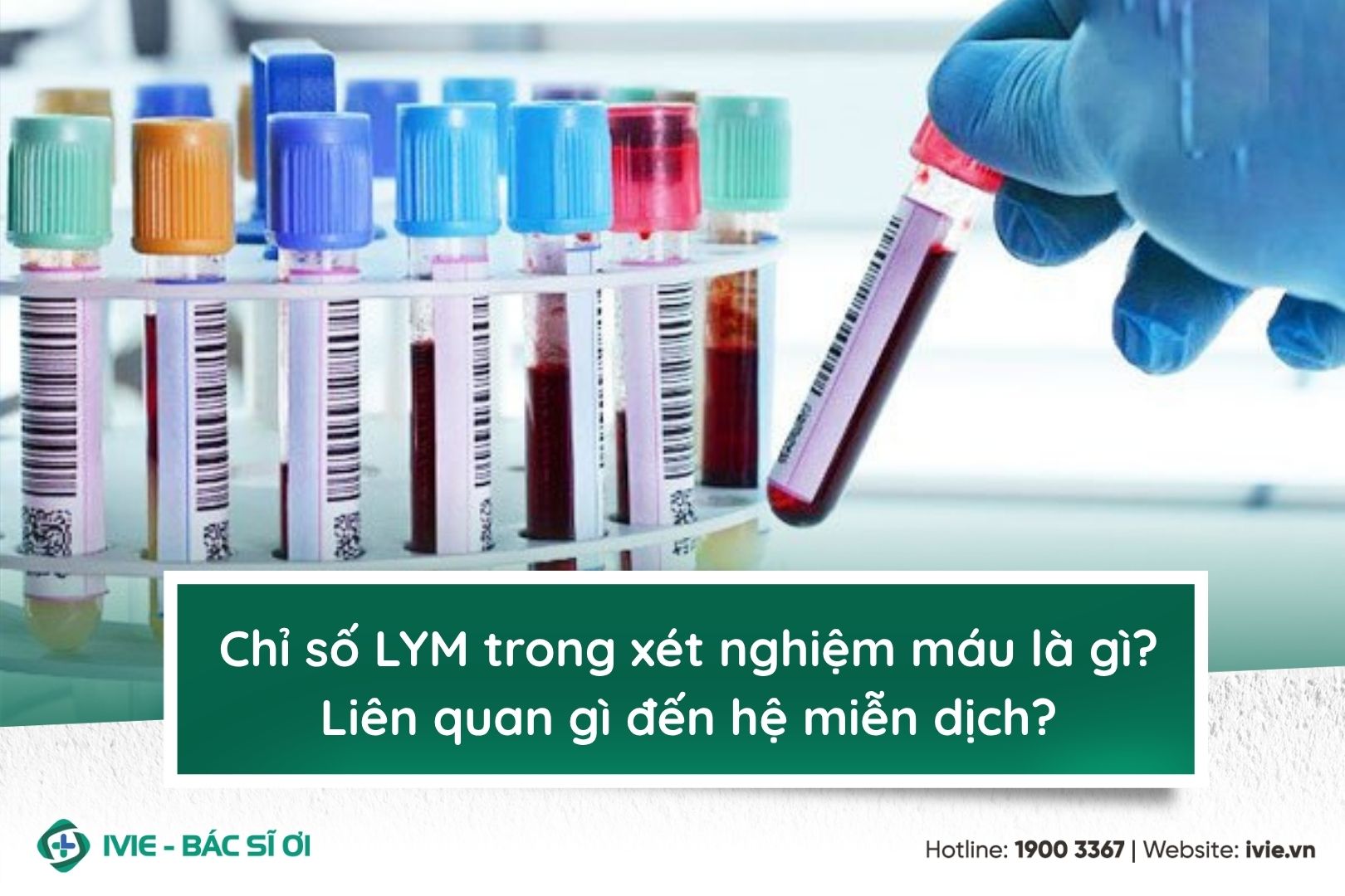 Chỉ số LYM trong xét nghiệm máu là gì? Liên quan gì đến hệ...