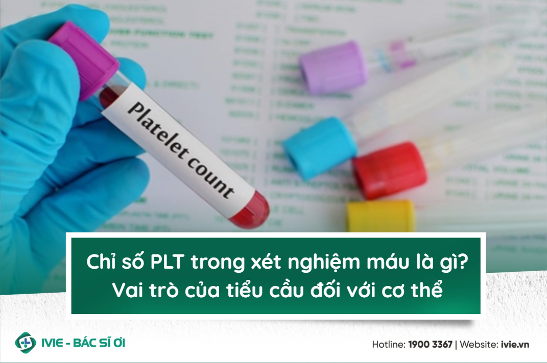 Chỉ số PLT trong xét nghiệm máu là gì? Vai trò của tiểu cầu ...