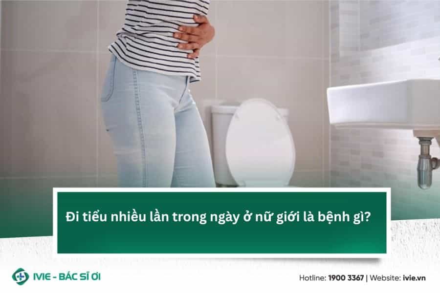 Đi tiểu nhiều lần trong ngày ở nữ giới là bệnh gì?